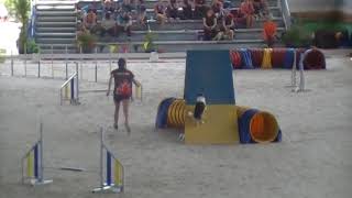 Biathlon Agility Milly 2018