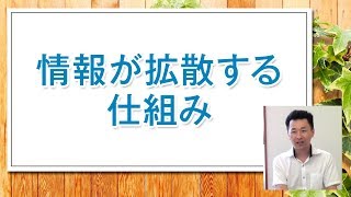 (17/30)情報が拡散する仕組み/ネット活用集客講座