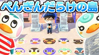 【島訪問】ぺんぎんだらけの『ぺんぎん島』が誰もが真似したくなる最高に美しい雪国だった【あつ森 / あつまれどうぶつの森】【夢番地】