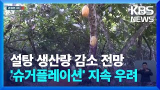 ‘슈퍼 엘리뇨’에 태국 설탕 수출 ‘먹구름’…아스파탐 논란에 ‘슈거플레이션’ 지속? [경제합시다] / KBS  2023.07.04.