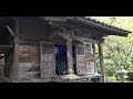 平松神社⛩️境内の🌸🌸桜開化しました。