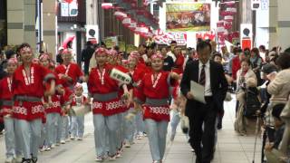 大橋通り踊り子隊　土佐のおきゃく2016　京町　4ｋ