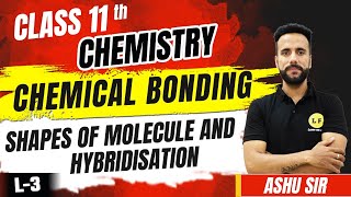 Class 11 Chemistry Chapter 4 | Chemical Bonding L-3 | Shapes Of Molecules \u0026 Hybridisation | Ashu Sir