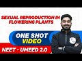 SEXUAL REPRODUCTION IN FLOWERING PLANTS in 1 Shot - All Theory & PYQs | UMEED 2.0