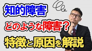 知的障害とは具体的にどのような障害？特徴・原因・社会での支援をわかりやすく解説