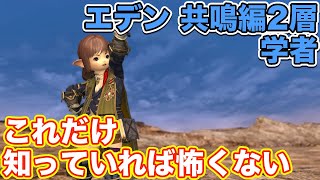 【FF14】エデン共鳴編2層に学者(ヒーラー)で挑戦【これだけ知っていれば怖くないヒーラー編 2021年版】