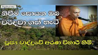 විදසුන් නුවණින් ඔබට සිතන්නට යමක්/ven.wadduwe aranavihari thero/2023.09.01