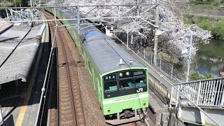 201系が鉄橋を渡って桜満開の河内堅上駅に到着‼️