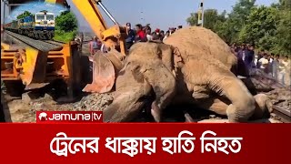 ভারতের আসামে ট্রেনের ধাক্কায় দুটি বুনো হাতির মৃত্যু | Assam Elephant