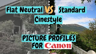 Standard VS Flat Neutral VS Cinestyle - Best Picture Profile for Canon M50 - Canon M6 mark ii?