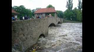 Hochwasser am Palmengartenwehr - Weiße Elster in Leipzig