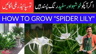 How to grow \