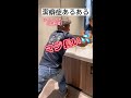 潔癖症あるある『トイレのドアを開ける時』