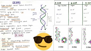 Different forms of DNA (A, B, Z DNa) || 😎😎Notes 📝🔥