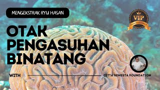 MENGEKSTRAK RYU HASAN | OTAK PENGASUHAN BINATANG