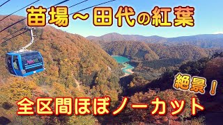 苗場ドラゴンドラ 絶景の紅葉を前面展望で！【全区間ほぼノーカット 日本最長5,481m 】