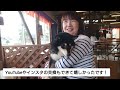 【犬キャンプ】伊勢志摩エバーグレイズ🌴アメリカン🇺🇸なキャンプ場でオシャレキャンプ！テントクリークカヌー付きを徹底紹介♡