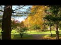 野付牛公園で紅葉を見てきた【北見市】4k