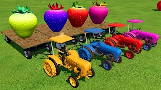 STRAWBERRY  TRANSPORT WITH MINI PORSCHE TRACTORS FS22 |