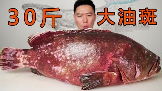 30斤的巨大云纹石斑鱼，用白粥来涮，好吃的停不下来【小文哥吃吃吃】