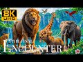 The Final Encounter 8K UHD 🐾 Experience The Animal Kingdom With Soulful Piano Music