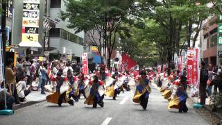 真舞會さん（Ⅱ）＠2011　「良い世さ来い」黒船祭