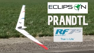 Eclipson PRANDTL wing for free in Real Fllight simulator