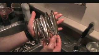 Maine Adventures 2011 - Great Maine Smelt Run (Mid Coast)