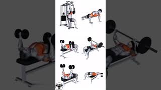 The Only Chest Workout You Need | Intense Chest Workout🔥#brust #brusttraining #brustworkout #fitness