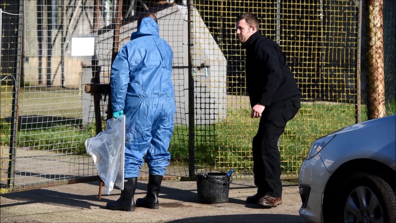 Suspected Bird Flu Outbreak At Redgrave Poultry Farm. - YouTube