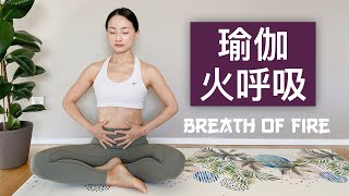 【瑜伽调息－火呼吸】每天三分钟 赶走疲倦焦虑 清洁大脑身心 Breath of Fire | Yue Yoga