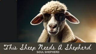 THIS SHEEP NEEDS A SHEPHERD