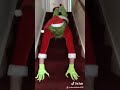 mr grinch has stolen christmas