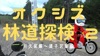 【由比のとら】No.41　静岡市　オクシズ林道探検（２）　川久保線～諸子沢峯線　by　トリッカー