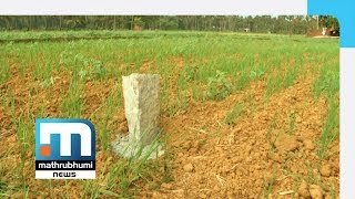 NH Bypass: 35 Acres Of Paddy Fields In Thottungal To Vanish| Mathrubhumi News