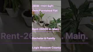 2BHK Semi Furnished Flat Rent 26000 in Logix Blossom County Sector 137 Noida For Bachelor \u0026 Family |