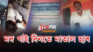 গোলাপী নিচাত ছাৰে ক'বই নোৱাৰে।