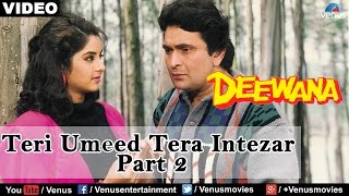 Teri Umeed Tera Intezar - Part 2 (Deewana)