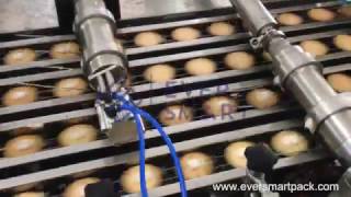 EVERSMART--Biscuit Sandwiching Machine,   Biscuit Machine à Sandwich