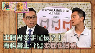 流行都市｜比腸胃炎手尾長？！專科醫生介紹炎症性腸病｜炎症性腸病｜潰瘍性結腸炎｜結腸炎