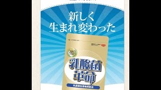 乳酸菌革命　購入・通販・口コミ・効果・評判