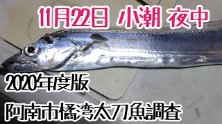 【太刀魚調査2020】阿南市某所 2020年11月22日版 22:30～02:00