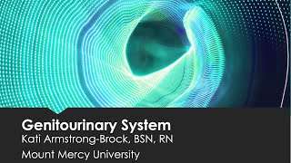 Genitourinary System