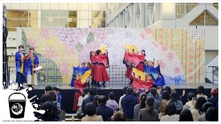 【4K】『ハヰカラ』東京花火（早稲田祭2022 理工展）- \