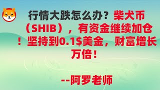 行情大跌怎么办？柴犬币（SHIB），有资金继续加仓！坚持到0 1$美金，财富增长万倍！