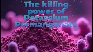 How to kill parasites and bacteria in Koi pond using Potassium Permanganate