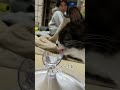 お水飲むって難しいのー。 猫 猫のいる暮らし 元野良猫