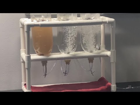 DIY Brine Shrimp Hatchery Out Of Pvc - YouTube