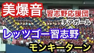 習志野応援 レッツゴー習志野 モンキーターン 美爆音