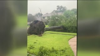 Storm cleanup: Cutting and removing downed trees